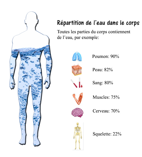 Chroniques et informations santé | NutriSimple | Attention à la