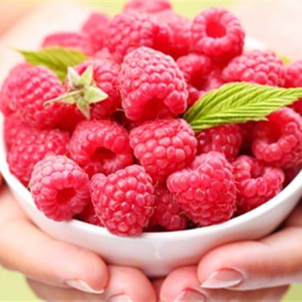 Notre conseillère scientifique vous présente 5 atouts de la framboise