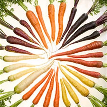 Notre nutritionniste-diététiste vous propose 5 atouts des carottes