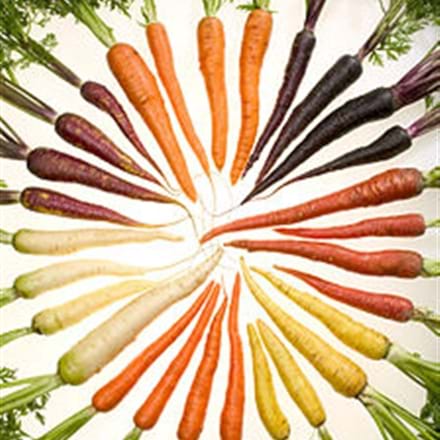 Notre nutritionniste-diététiste vous propose 5 atouts des carottes
