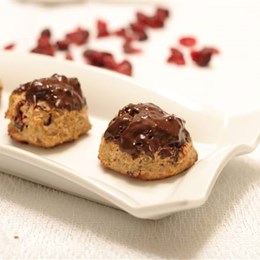 Recette NutriSimple Cranberry Chocolate Bites