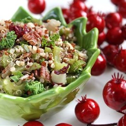 Recette NutriSimple Farce de Noël au quinoa