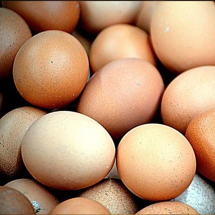 Notre nutritionniste-diététiste vous parle des œufs