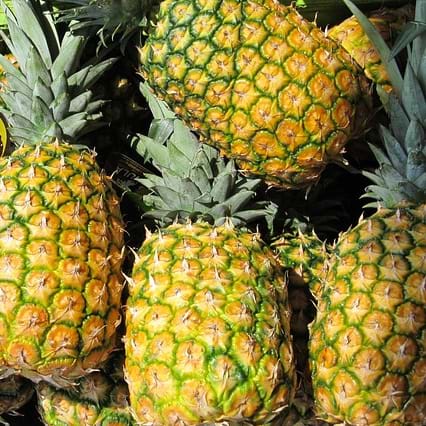Notre nutritionniste-diététiste vous présente quelques atouts de l’ananas