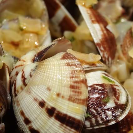 Quelques bonnes raisons de consommer des crustacés et des mollusques