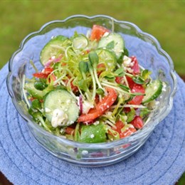 Recette NutriSimple Salade de pousses et feta	