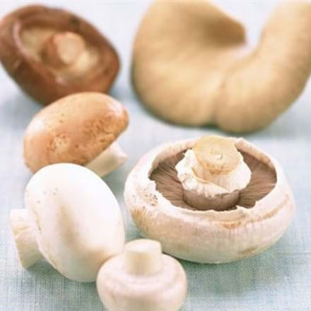 Notre nutritionniste-diététiste vous fait découvrir le champignon