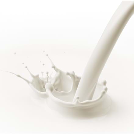 Notre nutritionniste-diététiste vous propose 5 astuces pour augmenter votre apport en calcium