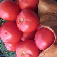 Notre nutritionniste-diététiste vous propose 5 avantages des tomates
