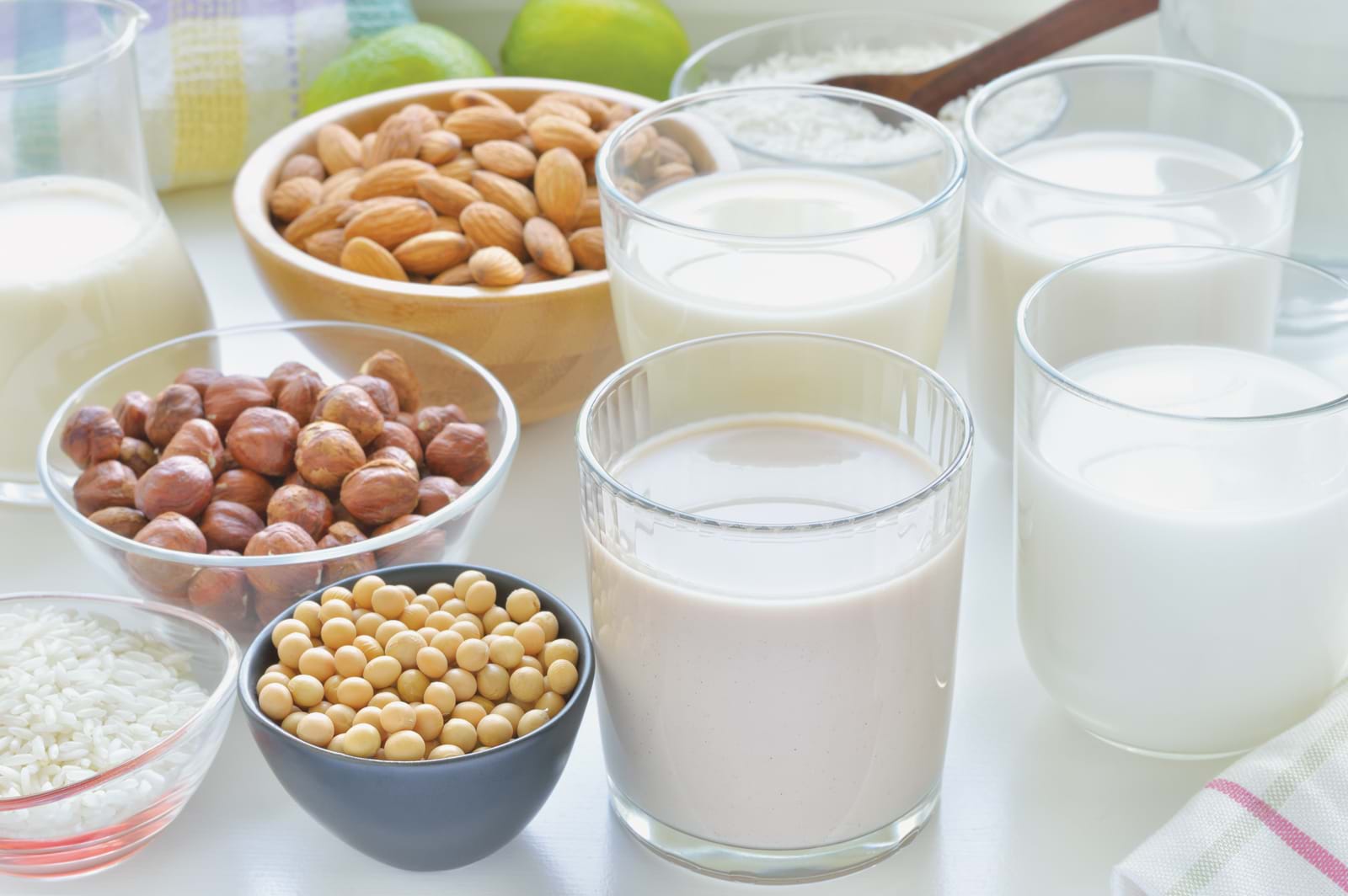 Découvrez les solutions de remplacement au lactose