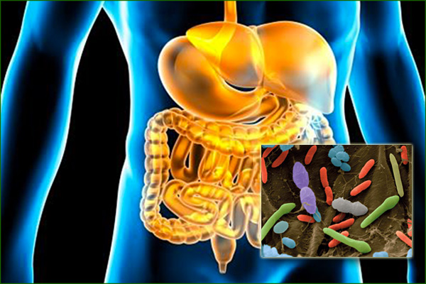 Intestinal Health