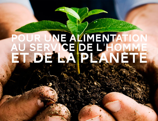 ALIMENTATION DURABLE : POURQUOI ET COMMENT ?