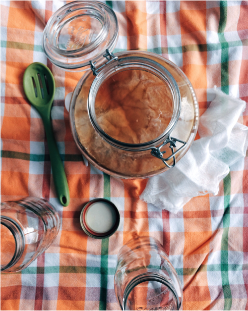 À la découverte du kombucha