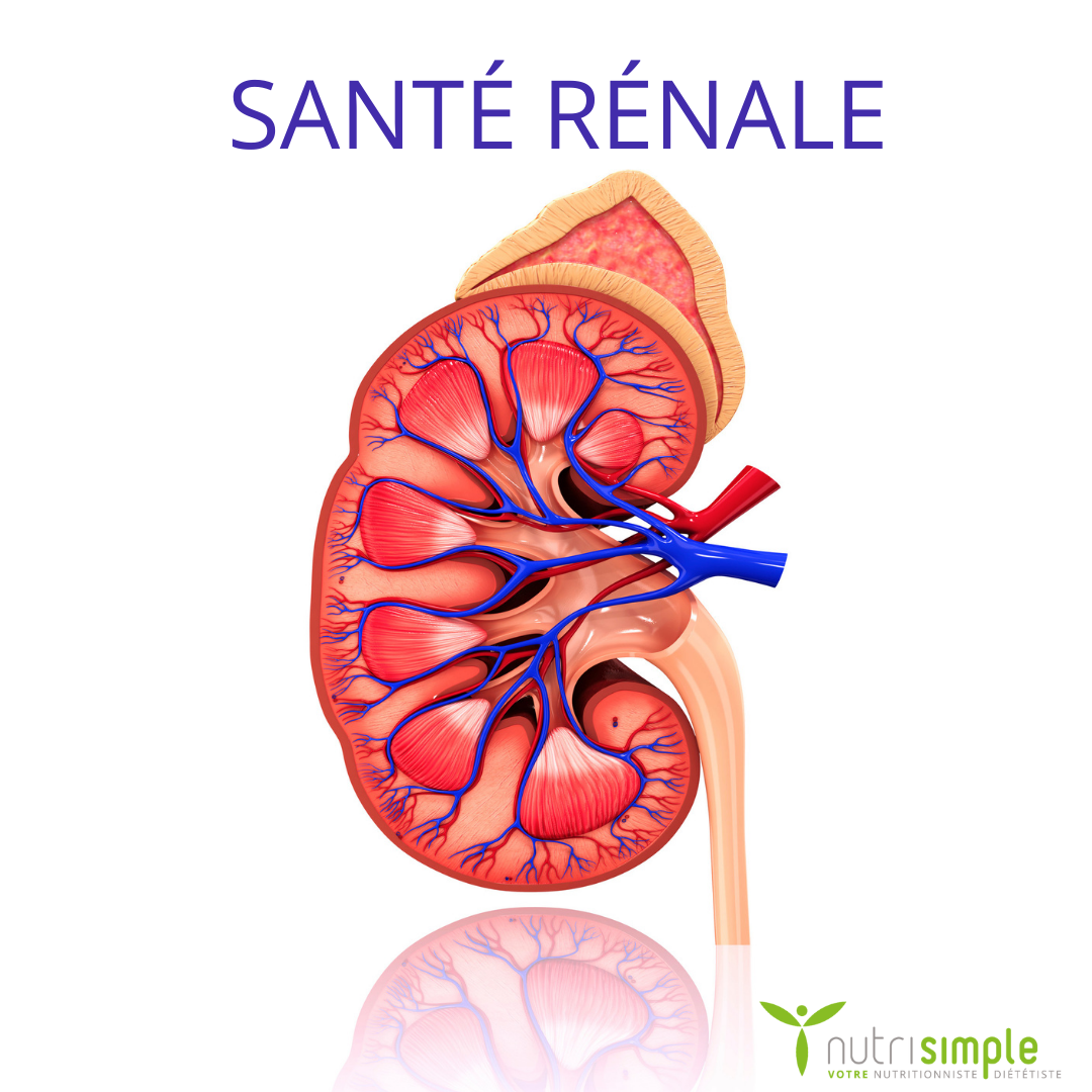 Chronic Renal Insufficiency