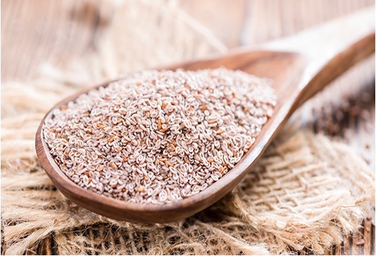 À la découverte du psyllium