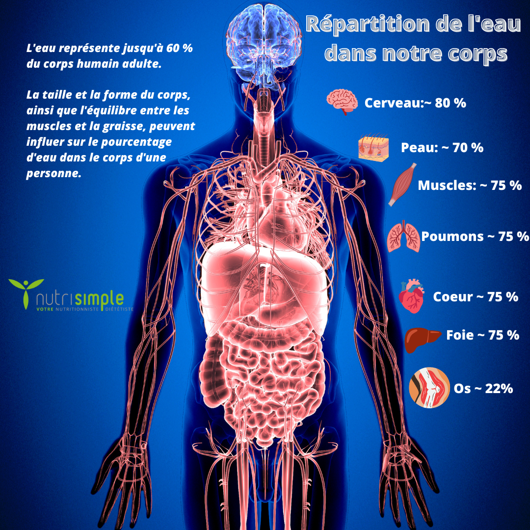 Attention à la déshydratation!