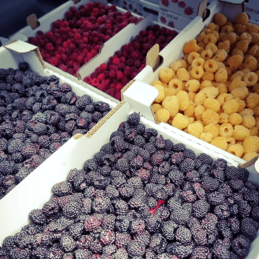 Notre directrice scientifique vous présente 5 atouts de la framboise