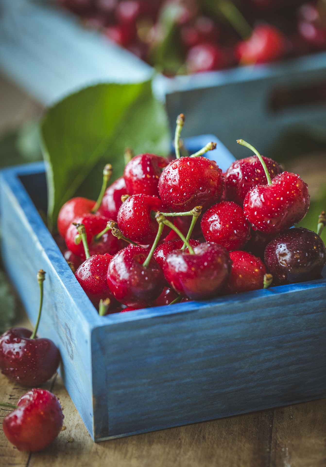 Notre conseillère scientifique vous propose 5 atouts des cerises